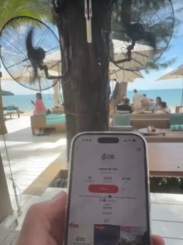 🛫 رحلاتهم